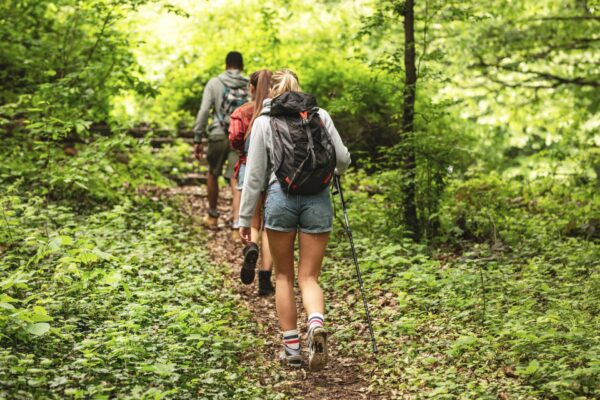 Bei den Singlewanderungen sind sportbegeisterte Naturliebhaber gemeinsam unterwegs. symbolfoto: adobe stock