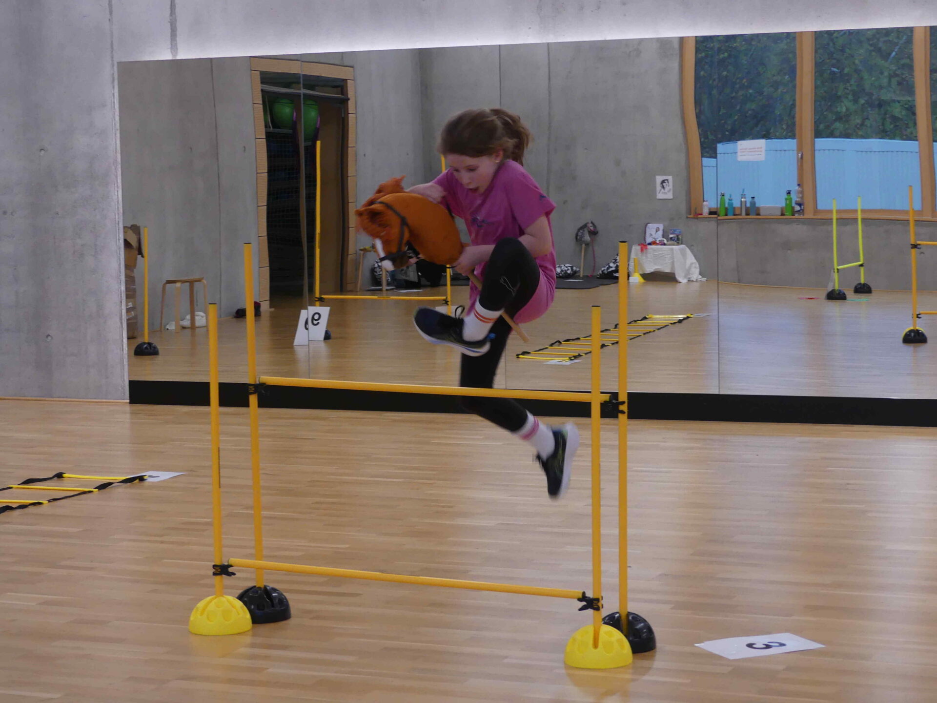 Trend sport from Finland: How hobby horsing also moves the Freiburg gymnastics community