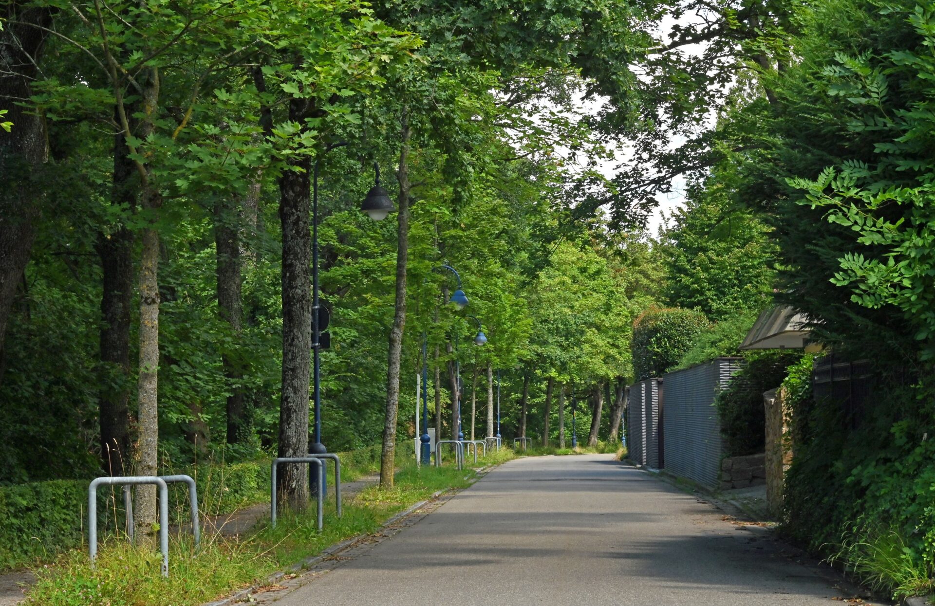 Der Mord passierte in einem Haus in einer ruhigen Wohnstraße auf dem Freiburger Lorettoberg.